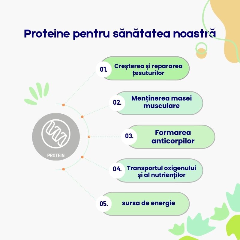 (Rumunština)_1